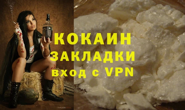 крисы Верея